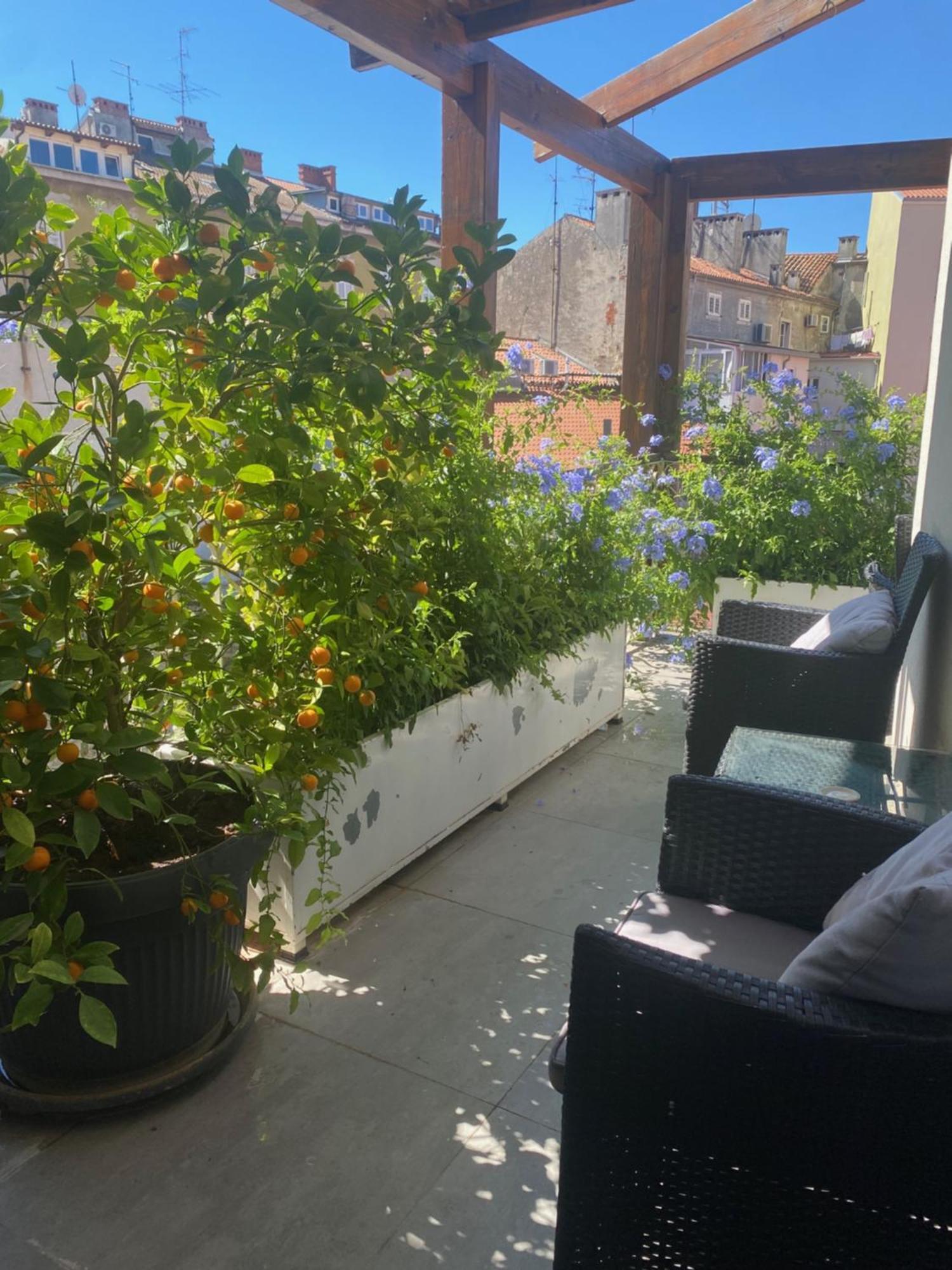Appartment In Center With Parking PUY 외부 사진